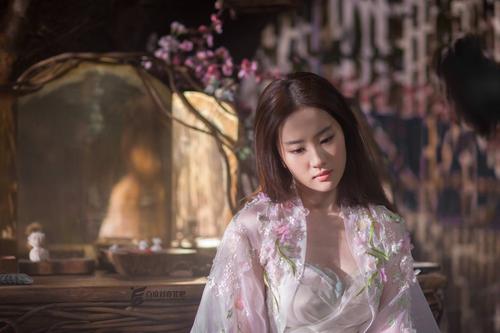 怎么购买婚育证明